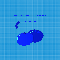 Bluberries