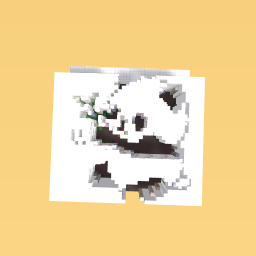 PANDA!