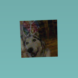 My dog with rainbow ears!