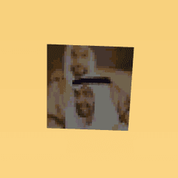 Mohamed bin zayed/Zayed bin sultan