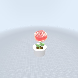 How to make a Rose