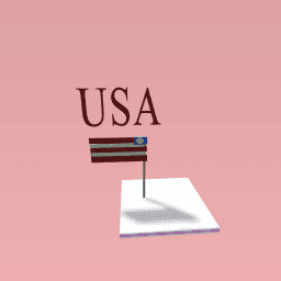 The flag of america