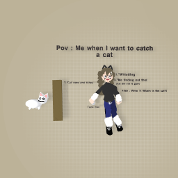 Pov : Me When I Want To Catch A Cat