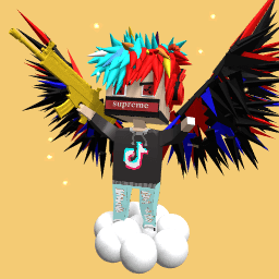 tik tok boy