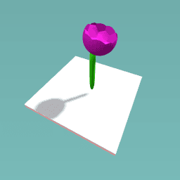 purple flower