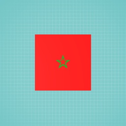 Morocan Flag