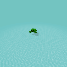 turtle