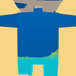 new costume