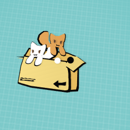 cats in box <33 2.O