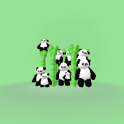 The panda fam