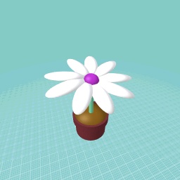 white flower