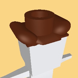 Rip wheelers cowboy hat