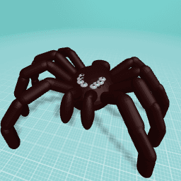 Super friendly super sized spider