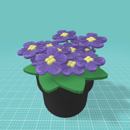 Small purple flowers pot