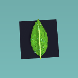 Leaf