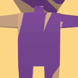 new costume