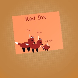 Respectful fantastic Red fox