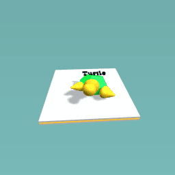 Turtle