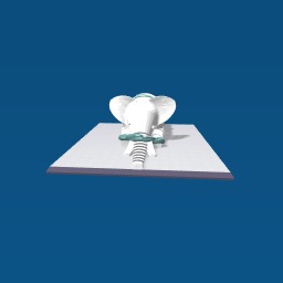 Elphant has been hunted..RIP