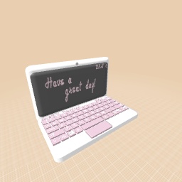 A laptop/computer!