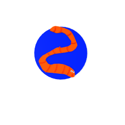 Slither.io