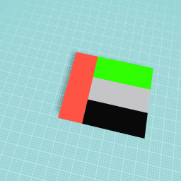 UAE FLAG