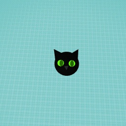 black cat