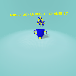 AHMED MOHAMMED AL SHAMSI 3C