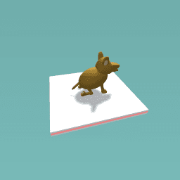 taking ticks off a dog :>