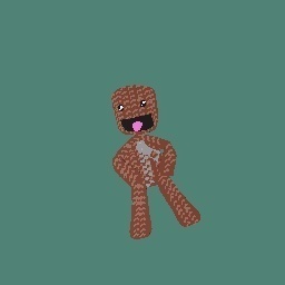 sackboy