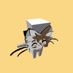 Mask