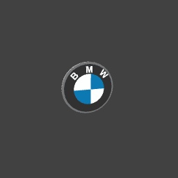 BMW Badge