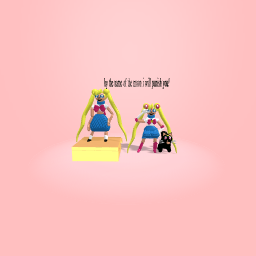 Usagi/sailor moon