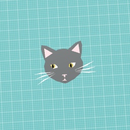 Cat face