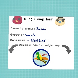 Budgie Corp Logo (mission)