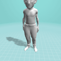 ﺮﻓﺎﻨﺴﻟا و ﻞﻴﺒﺷﺮﺷ