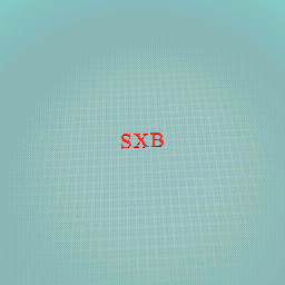 SXB IN TOP