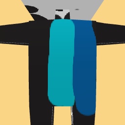 new costume