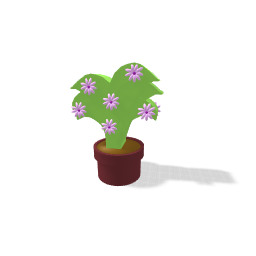Teeny plant