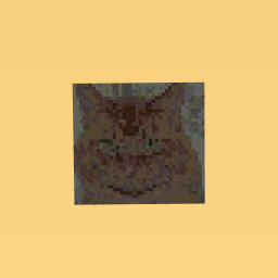 how do like cut put like