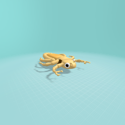 Louse(insect)