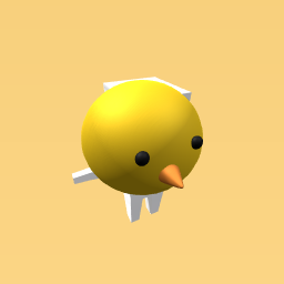 Chick Head