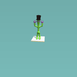 mr cactus