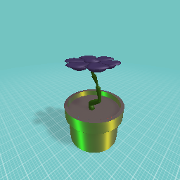 Flower Pot