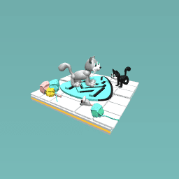 Cat room