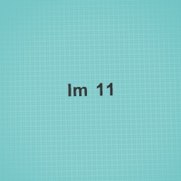 Im 11