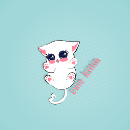 Adorable kitten