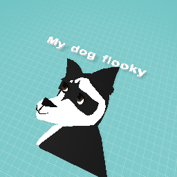 My dog flooky
