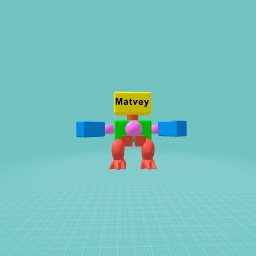 1B1