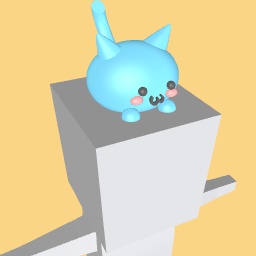Cute cat